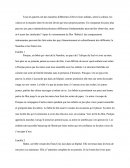 Analyse Du Film Les bébés de Thomas Balmès avec Bayar et Hattie