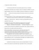 L'amazonie