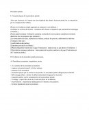 Le processus pénal