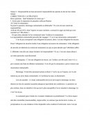 Cas pratique de droit: Responsabilité d'une faute personnelle/ responsabilité des parents du fait de leur enfant mineur