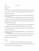 Droit - exercice: le divorce