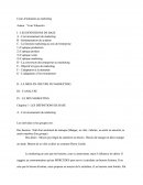Cours d'introduction au marketing