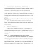 Analyse D'un Cas De Publicité Trompeuse