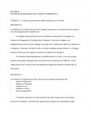 Management De L'équipe Commerciale