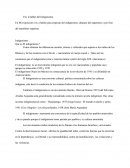 Indigenismo - étude en espagnol