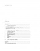 Rapport De Stage Comptabilite