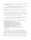Tema del fragmento sacado de la novela cuyo titulo es « Mi país inventado »