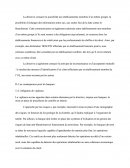 Directive concernant l'introduction d'un système d'évaluation des risques et de gestion des risques pour la lutte contre le blanchiment de capitaux et le financement du terrorisme