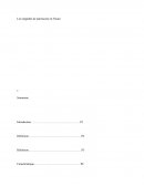 Les Inégalités De Patrimoine En France