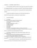 Cours: la propriété immatérielle