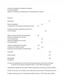 Les Piles électriques : Influences De La Température Sur Les Caractéristiques