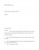 Rapport De Stage Celio