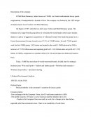 Description de l'entreprise LVMH (document en anglais)