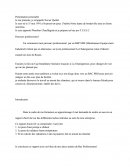 Rapport D'activité