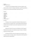 La balançoire