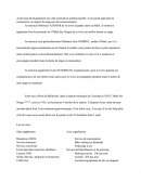 Remerciements Rapport De Stage