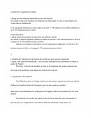 Management Devoir : Le cas Lafarge