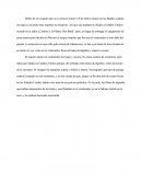 Viajando Dentro De Un Contenedor