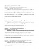La Consommation Des Menages