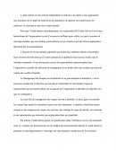 Audit Interne Et Management Des Risques