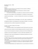 Psychologie Du Travail
