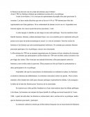 Droit De Vote Des Femmes: Histoire du droit de vote et la lutte des femmes pour l'obtenir