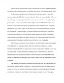 Quelles sont les difficultés dans la mise en œuvre d'une ville durable et quelles politiques sont mises en place pour lutter contre ces difficultés dans les pays du Nord (Amérique du Nord)?