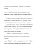 Les Principaux Courants Philosophiques