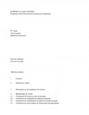 Rapport D Audit Externe