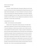 Quelle est la puissance de l'image ?
