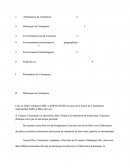 Rapport De Stage Eco Gestion Bac Pro