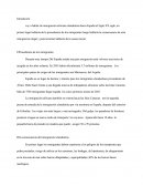 Immigration Africaine Vers L'Espagne (synthèse en espagnol)