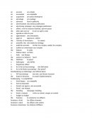 Vocabulaire en anglais