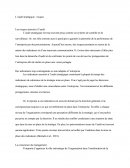 Risques De L'audit Stratégique