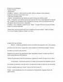 Management Perspective Psychologique Cas VTT
