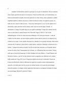 Sexe et images de femmes dans le cinema de la nouvelle vague : un contre exemple de domination ?