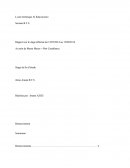 Rapport De Stage