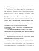 LA PEAU DE CHAGRIN