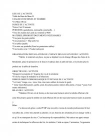 exemple de rapport de stage bac pro assp maison de retraite