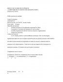 FICHE APS Antifeu