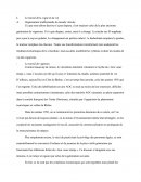 Le travail de la vigne et du vin