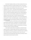 Sociologie Des Organisations