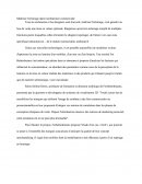 Maître de l'éclairage en architecture commerciale
