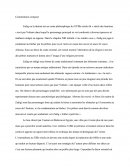 Commentaire Composé sur le conte philosophique Zadig de Voltaire Chapitre 13