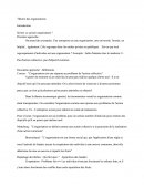 Cours: Théorie Des Organisations