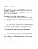 Analyse de la situation de l’entreprise SKYROCK