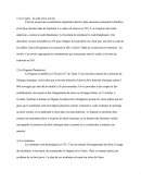 Le Codex : le code et les novels