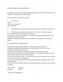Faites Passer Les Bons Message Dans Un CV
