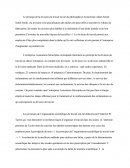 En quoi l’entreprise Assurances Sécuriplus correspond aux principes de la division du travail et de l’organisation scientifique du travail?