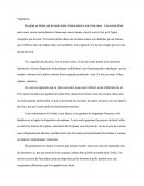 Végétation